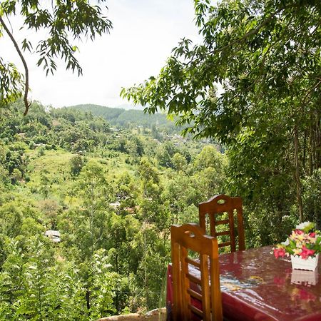 Rose Dale Homestay Ella Εξωτερικό φωτογραφία