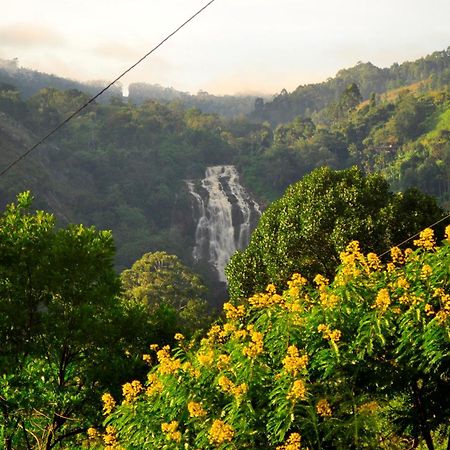Rose Dale Homestay Ella Εξωτερικό φωτογραφία