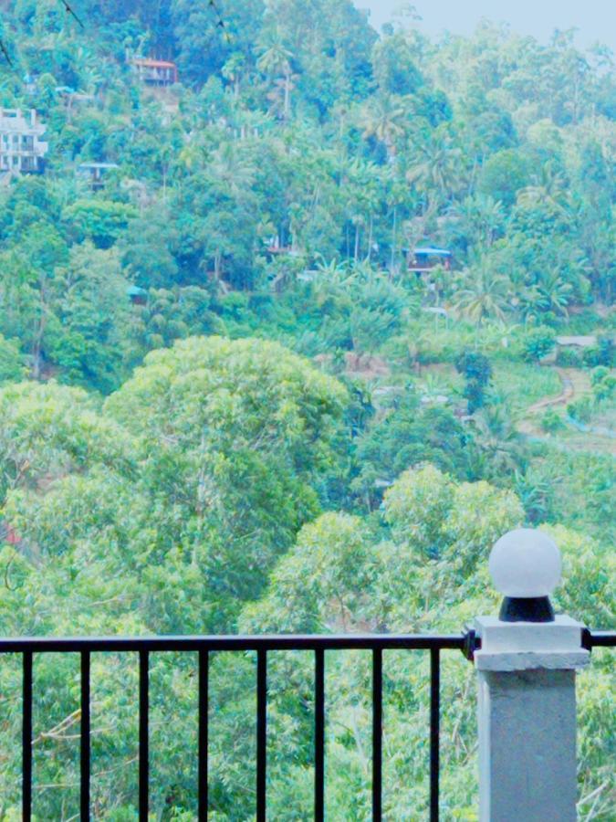 Rose Dale Homestay Ella Εξωτερικό φωτογραφία