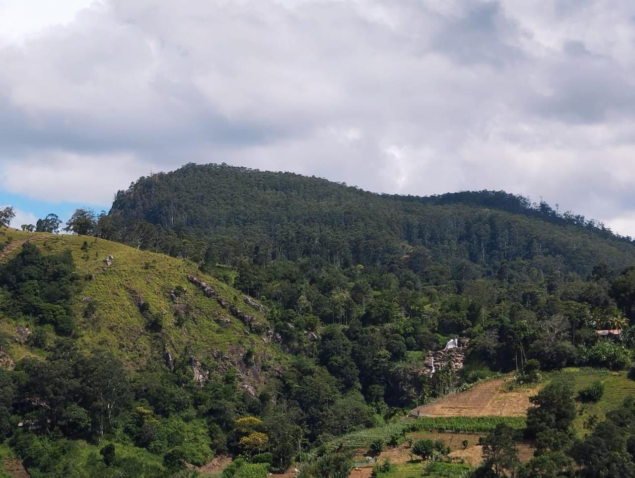 Rose Dale Homestay Ella Εξωτερικό φωτογραφία