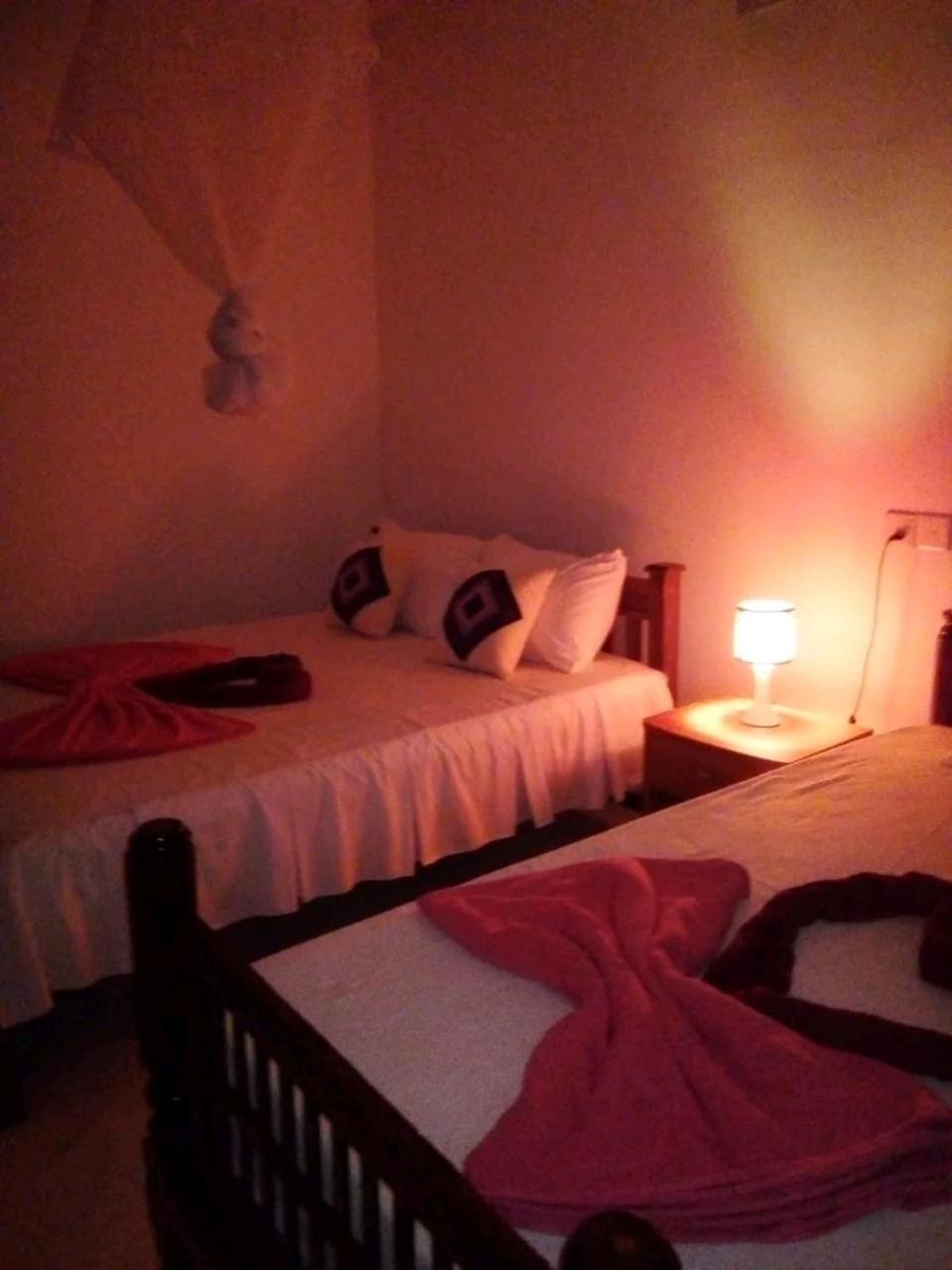 Rose Dale Homestay Ella Εξωτερικό φωτογραφία