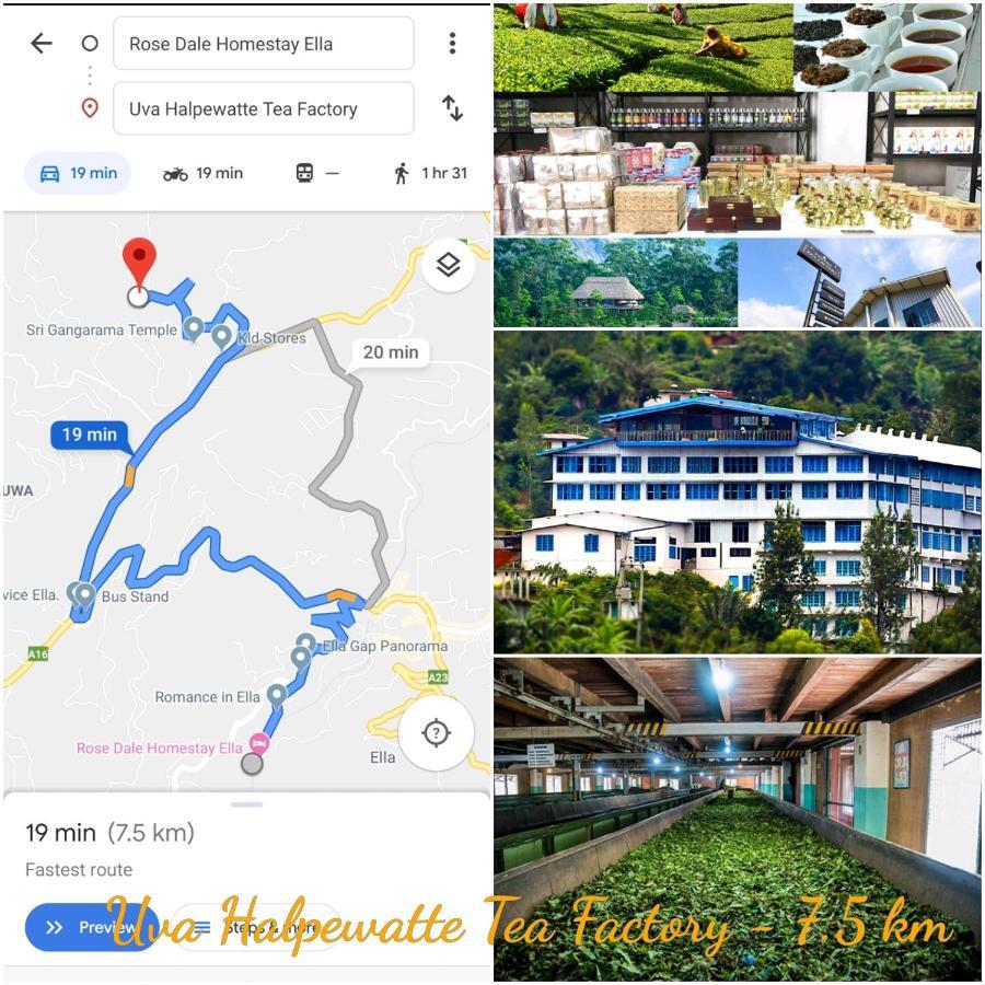 Rose Dale Homestay Ella Εξωτερικό φωτογραφία